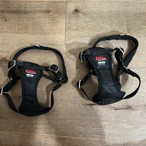 two easy rider harnesses!